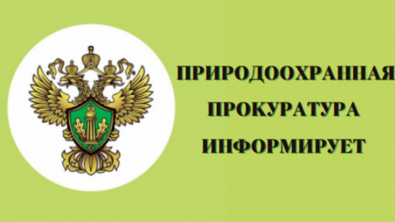 Саратовская межрайонная природоохранная прокуратура разъясняет законодательство об ответственном обращении с животными.