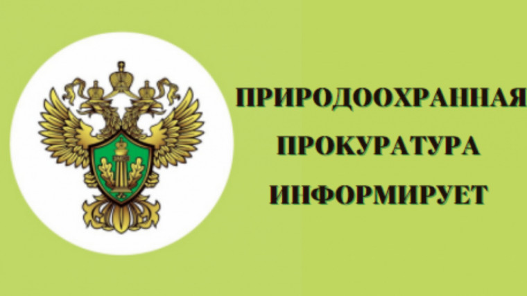 Саратовская межрайонная природоохранная прокуратура разъясняет законодательство об ответственном обращении с животными. Саратовская межрайонная природоохранная прокуратура разъясняет законодательство об ответственном обращении с животными.
